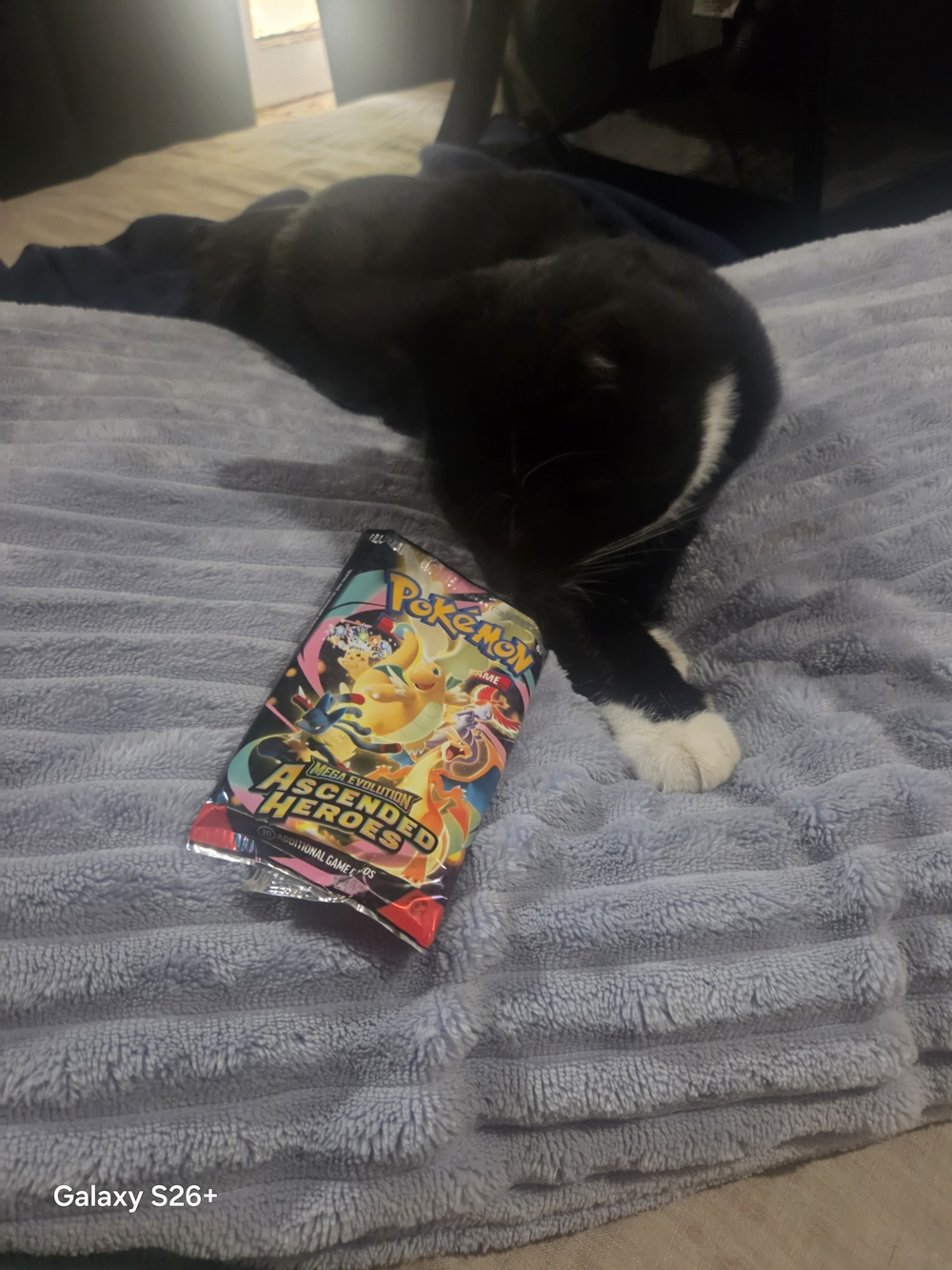 Pokemon TCG Opened Ascended Heros Card Pack